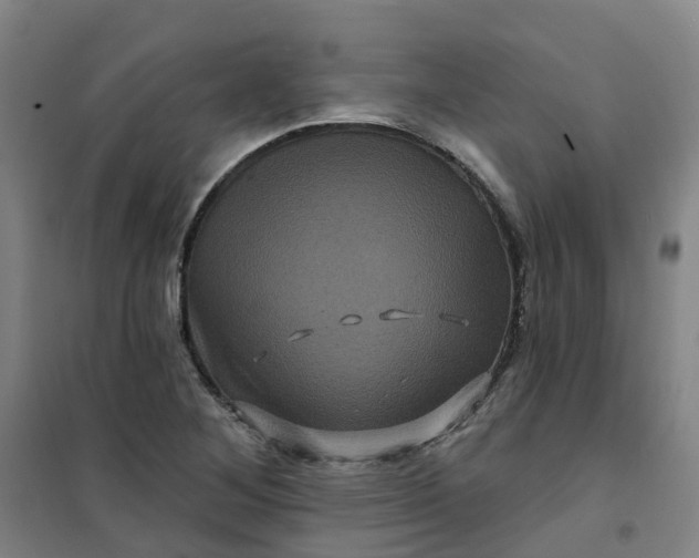 X0000101091268200807101540