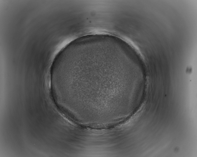 X0000101091269200807101540