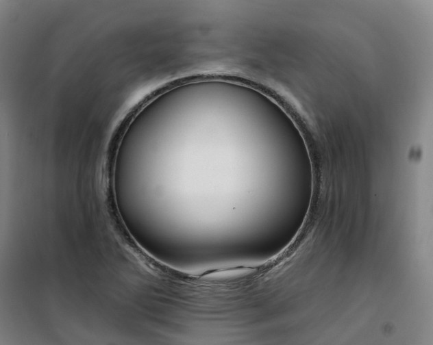 X0000101091270200807101540