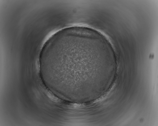 X0000101091271200807101540