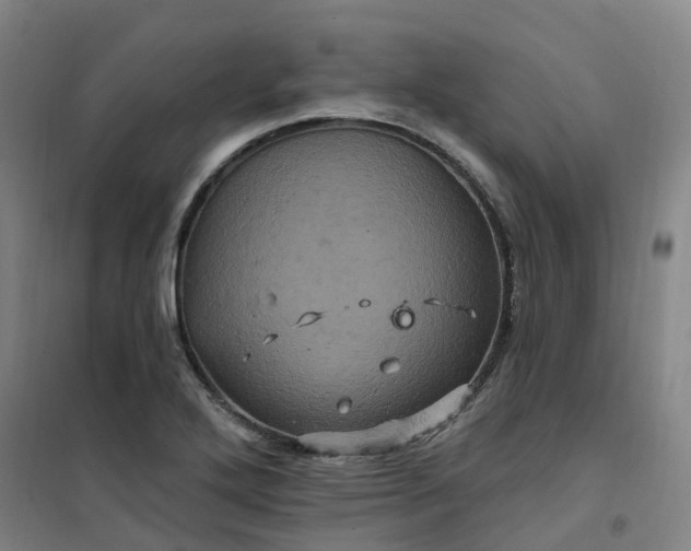 X0000101091272200807101540