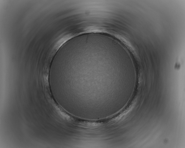 X0000101091273200807101540