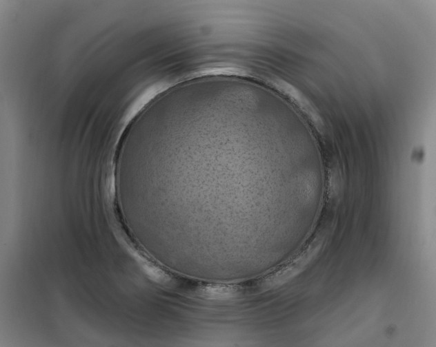 X0000101091274200807101540