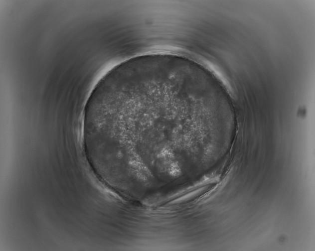 X0000101091275200807101540