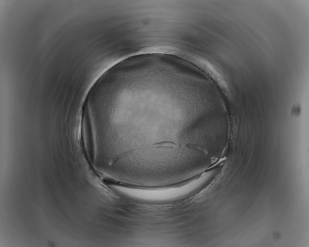 X0000101091276200807101540