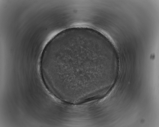 X0000101091277200807101540