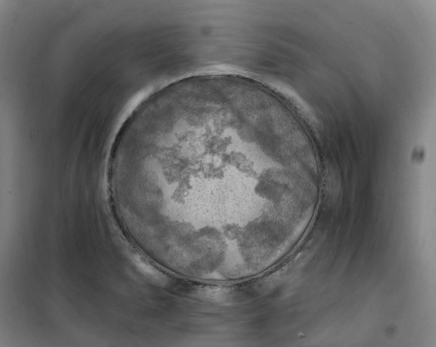 X0000101091278200807101540