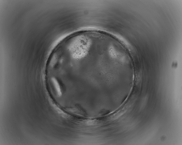 X0000101091279200807101540