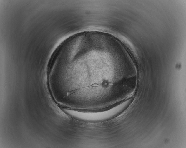 X0000101091280200807101540