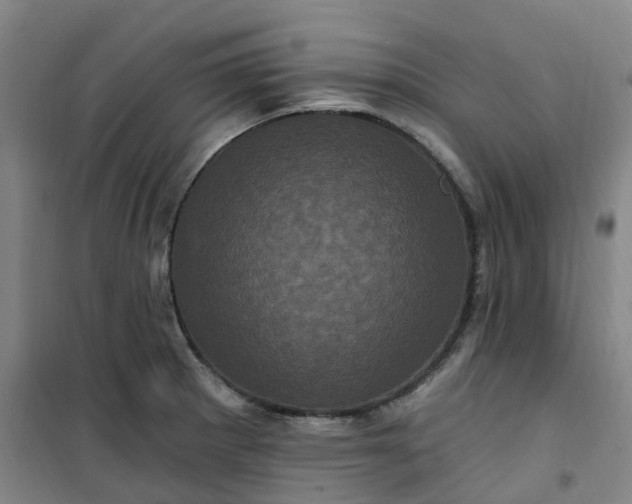 X0000101091281200807101540