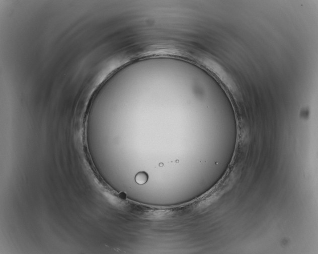 X0000101091282200807101540