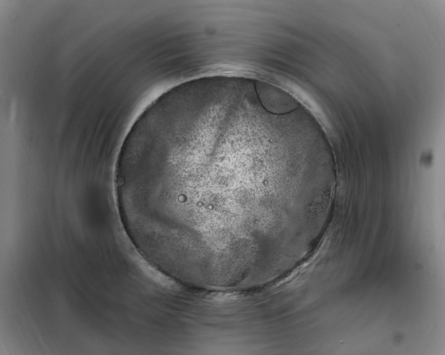 X0000101091283200807101540