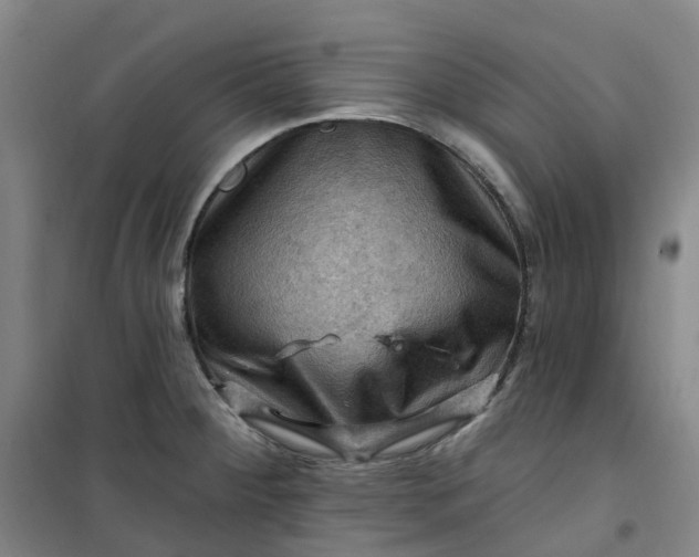 X0000101091284200807101540