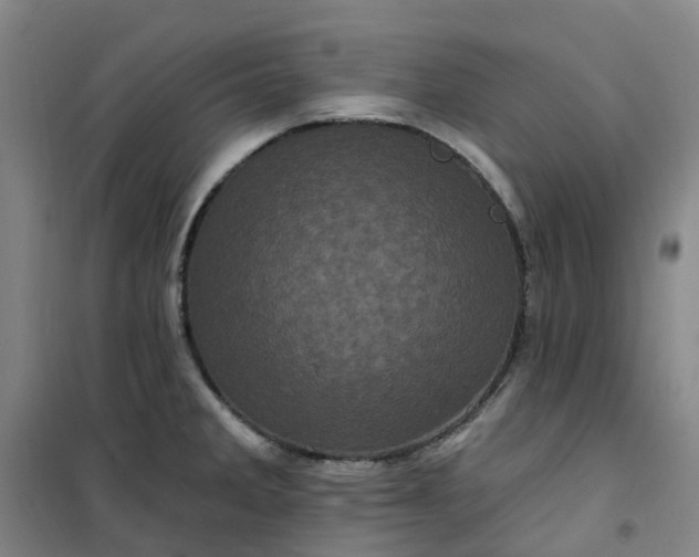 X0000101091285200807101540