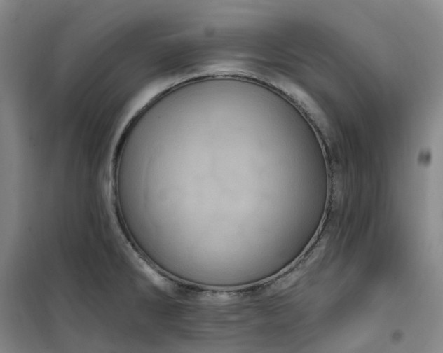 X0000101091286200807101540