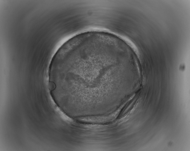 X0000101091287200807101540