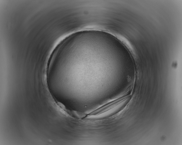 X0000101091288200807101540