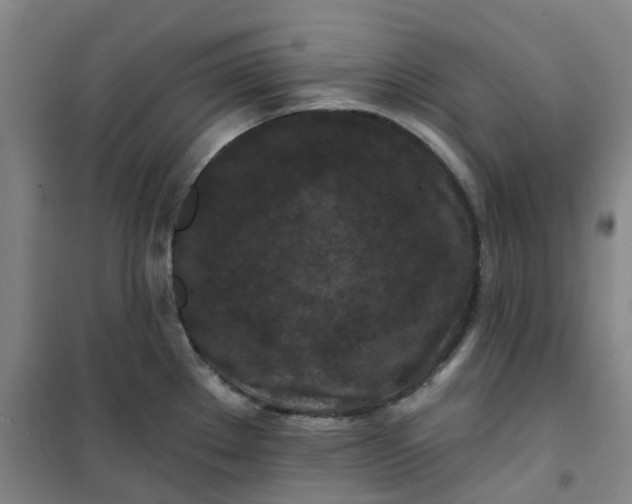 X0000101091289200807101540