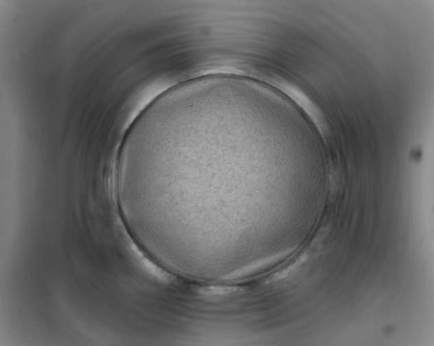 X0000101091290200807101540