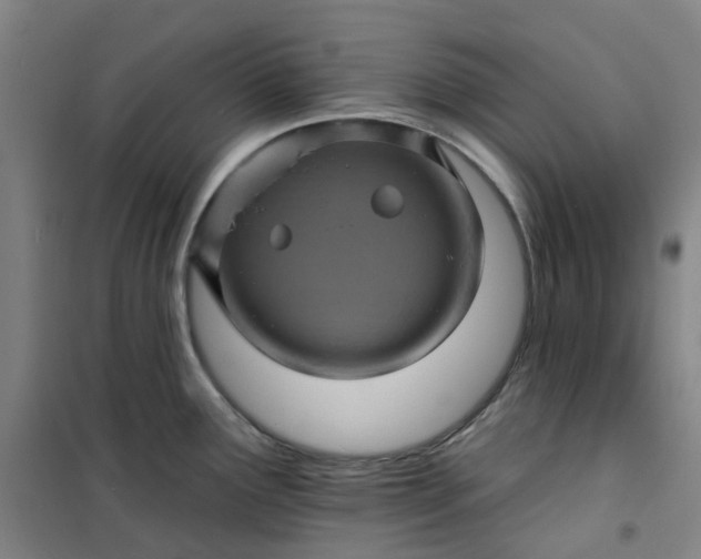 X0000101091291200807101540