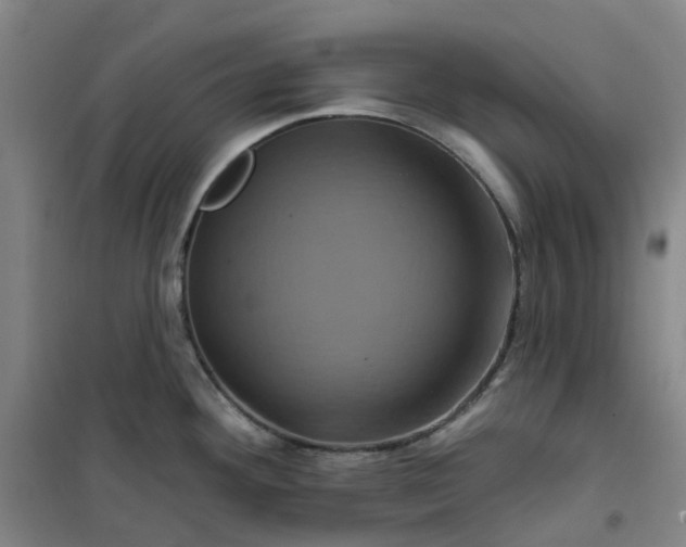 X0000101091292200807101540