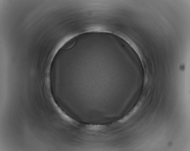 X0000101091293200807101540