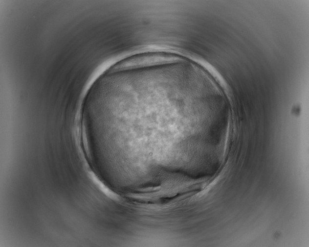 X0000101091294200807101540