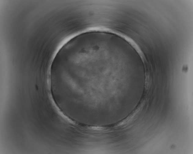 X0000101091295200807101540