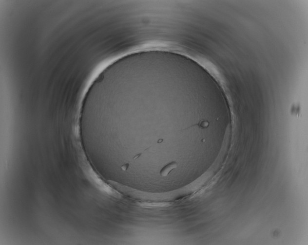 X0000101091296200807101540