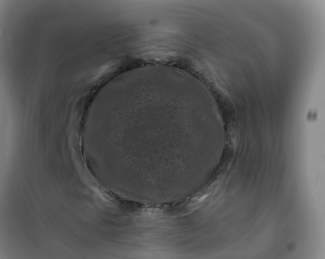 X0000101091297200807101539