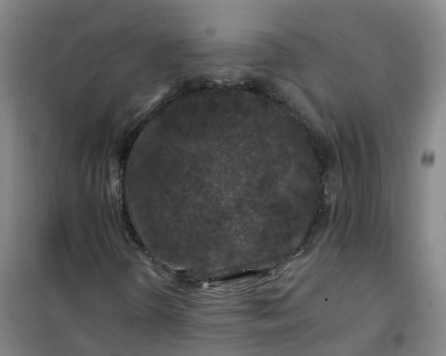 X0000101091298200807101539