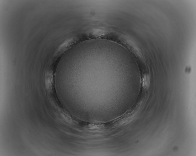 X0000101091299200807101539