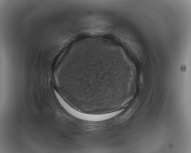 X0000101091300200807101539