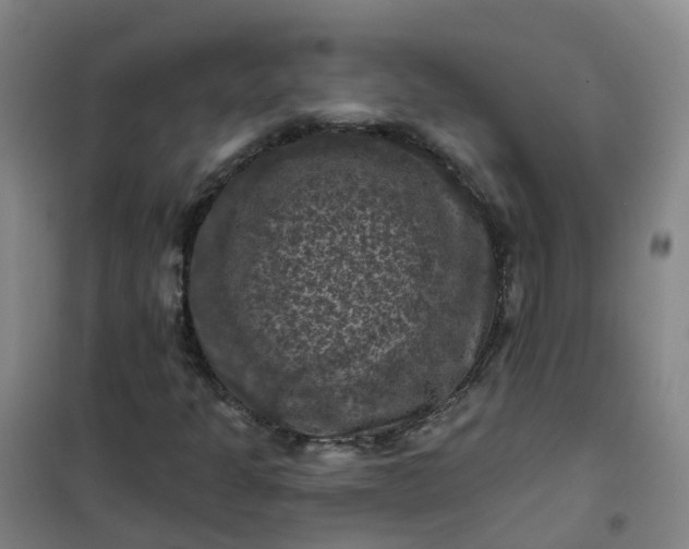 X0000101091301200807101539