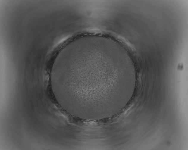 X0000101091302200807101539