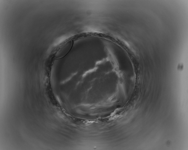 X0000101091303200807101539