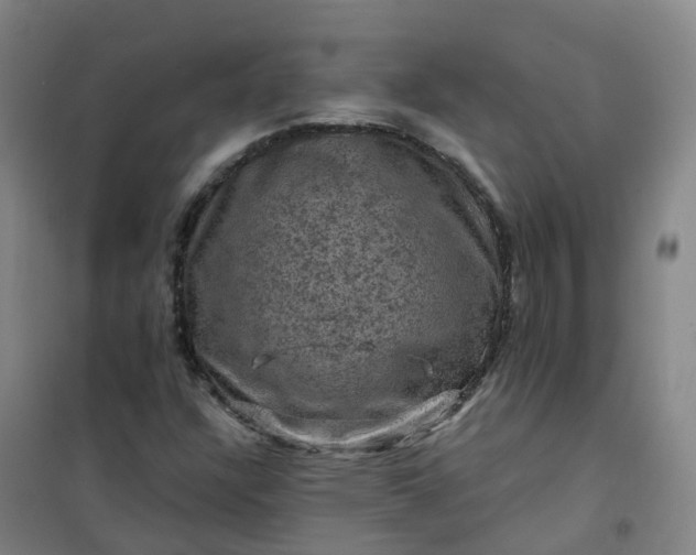 X0000101091304200807101539