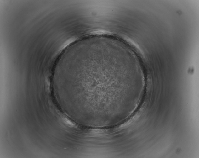 X0000101091305200807101539