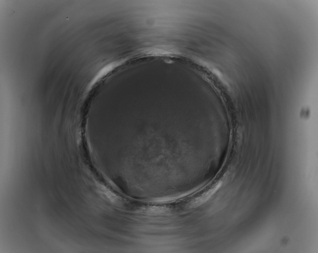 X0000101091306200807101539