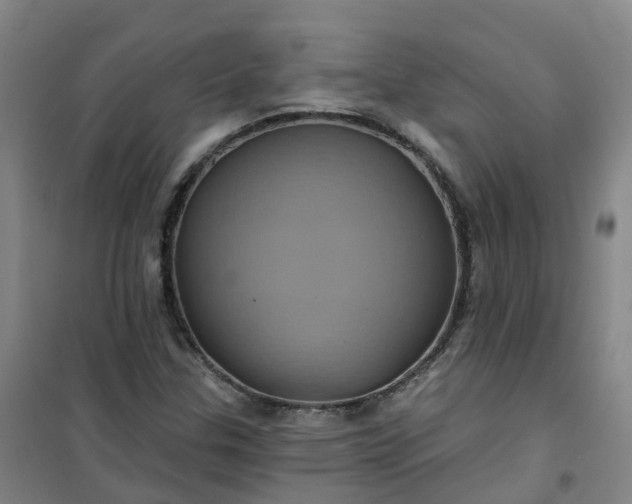 X0000101091307200807101539