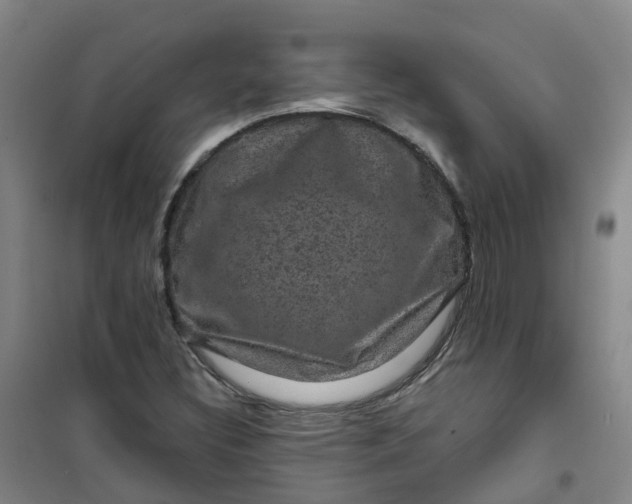 X0000101091308200807101539