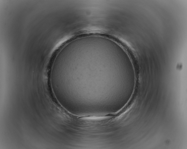 X0000101091309200807101539