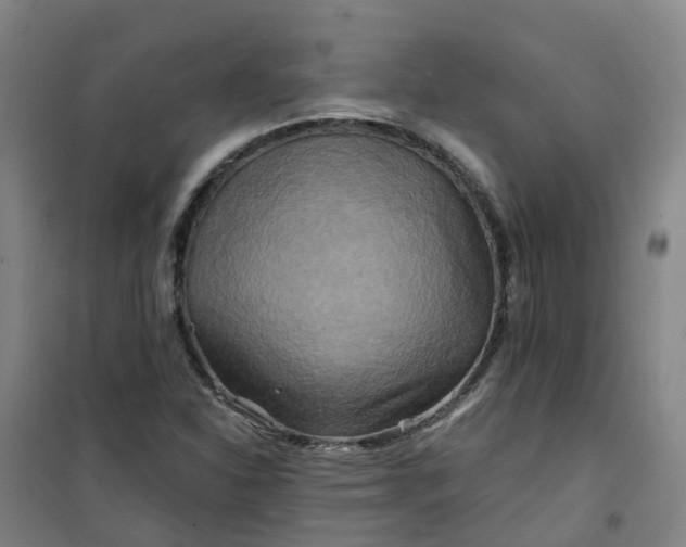 X0000101091310200807101539