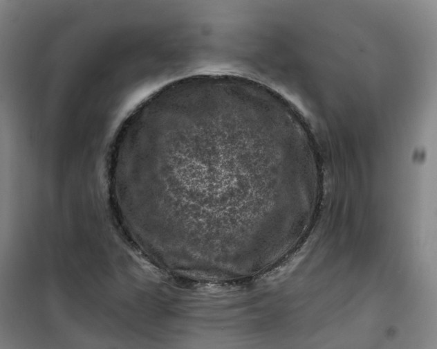 X0000101091311200807101539