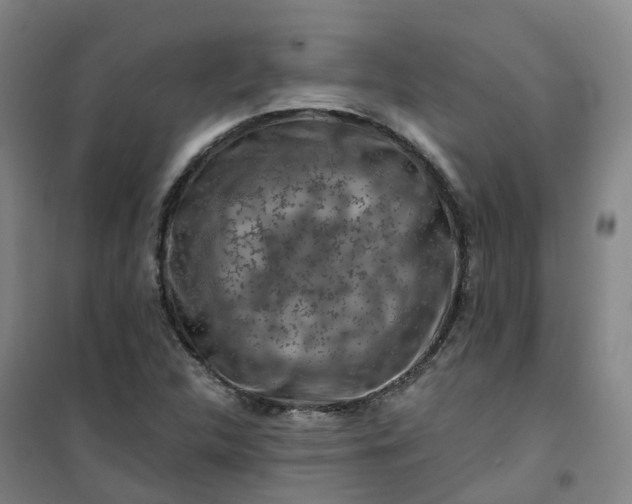 X0000101091312200807101539