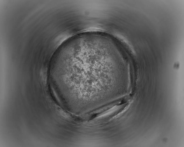 X0000101091313200807101539