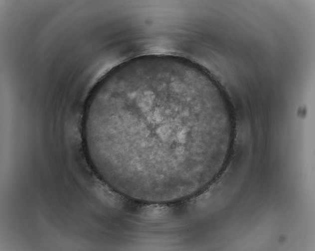 X0000101091314200807101539