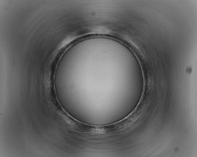 X0000101091315200807101539