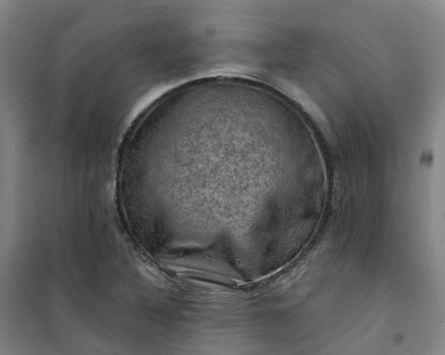 X0000101091316200807101539