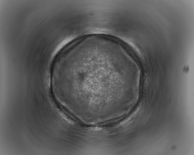 X0000101091317200807101539